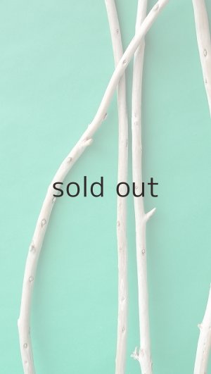 画像3: 棒流木セット