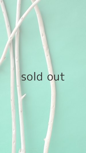 画像4: 棒流木セット