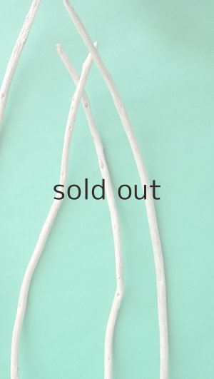 画像4: 棒流木セット