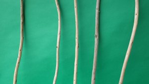 画像3: 棒流木セット