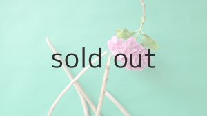 画像5: 棒流木セット