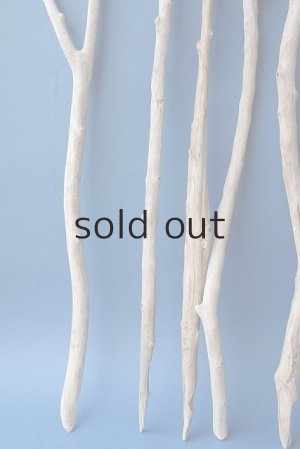 画像5: 小枝流木セット