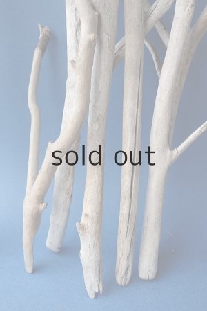 画像7: 小枝流木セット