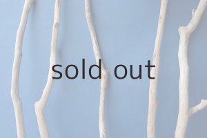 画像3: 小枝流木セット