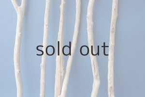 画像3: 小枝流木セット