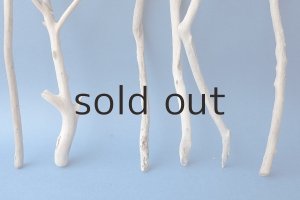 画像2: 小枝流木セット