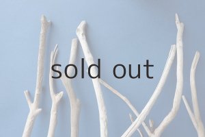 画像3: 小枝流木セット