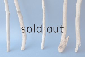 画像2: 小枝流木セット