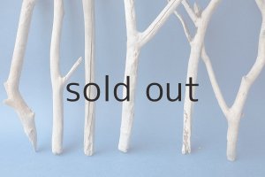 画像2: 小枝流木セット