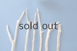 画像4: 小枝流木セット