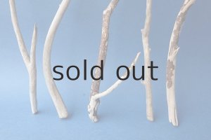 画像2: 小枝流木セット