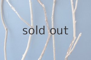 画像3: 小枝流木セット