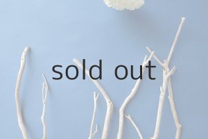 画像4: 小枝流木セット