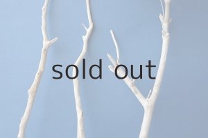 画像7: 小枝流木セット