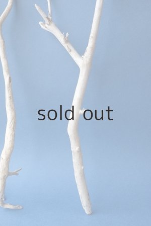 画像5: 小枝流木セット