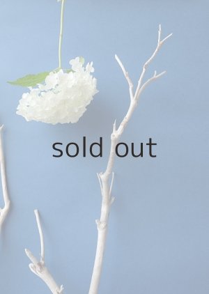 画像4: 小枝流木セット