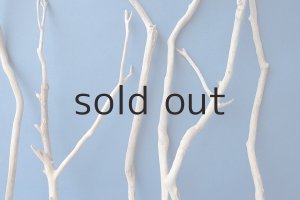 画像3: 小枝流木セット