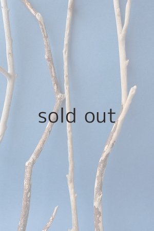 画像6: 小枝流木セット