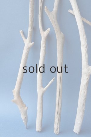 画像4: 小枝流木セット