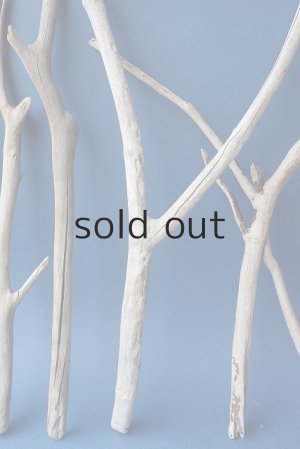 画像5: 小枝流木セット