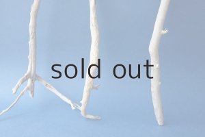 画像6: 小枝流木セット