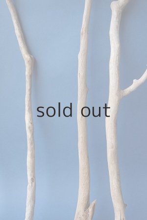 画像6: 小枝流木セット