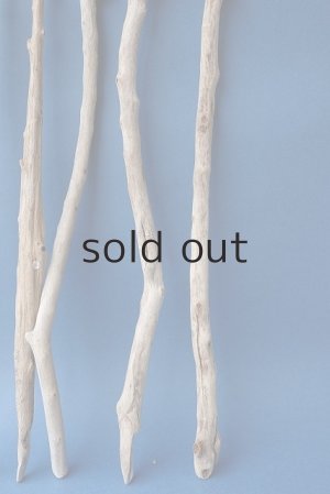 画像6: 小枝流木セット