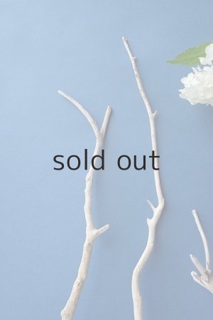 画像3: 小枝流木セット