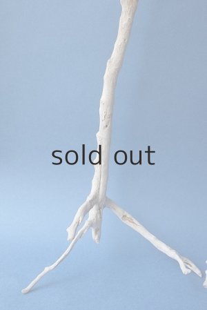 画像2: 小枝流木セット