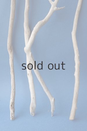 画像6: 小枝流木セット