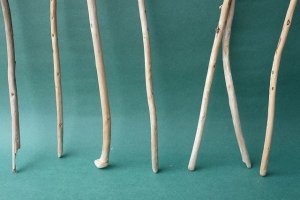 画像2: 棒流木セット