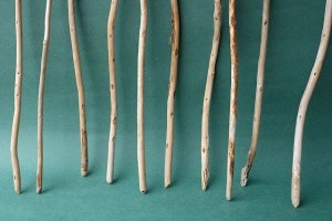 画像2: 棒流木セット