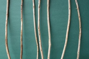 画像3: 棒流木セット