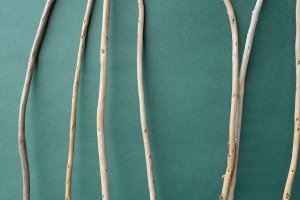 画像3: 棒流木セット