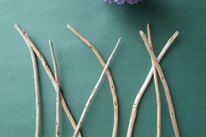 画像4: 棒流木セット