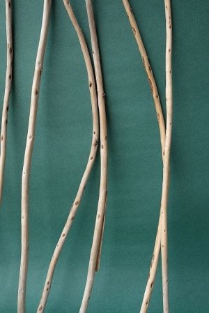 画像6: 棒流木セット