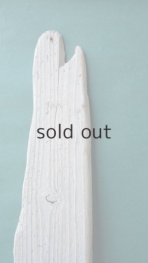 画像4: 板流木