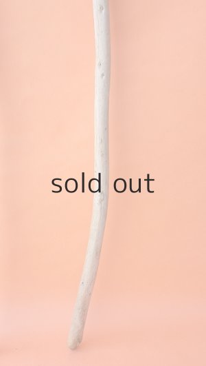 画像3: 棒流木セット