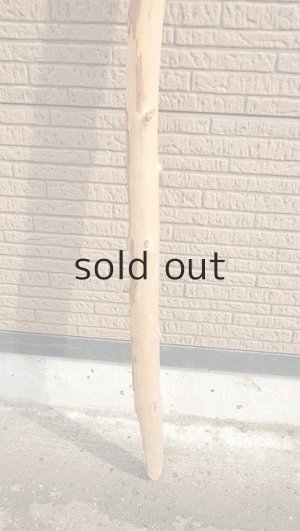 画像2: 棒流木・長尺