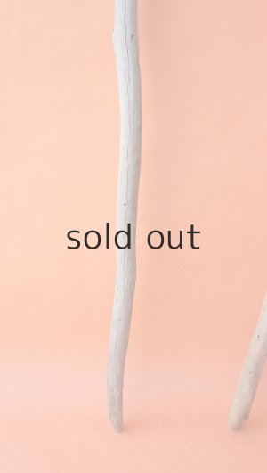 画像2: 棒流木セット