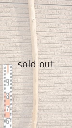 画像6: 棒流木・長尺