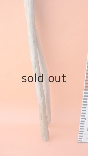 画像5: 棒流木セット