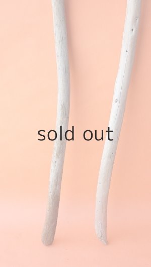 画像2: 棒流木セット