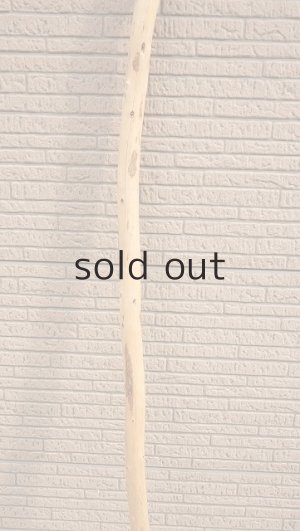 画像3: 棒流木・長尺