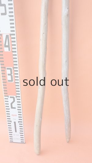 画像6: 棒流木セット