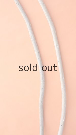 画像3: 棒流木セット