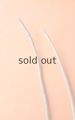 画像5: 棒流木セット