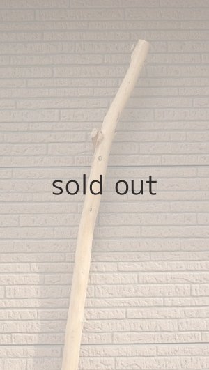 画像4: 棒流木・長尺