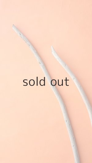 画像4: 棒流木セット