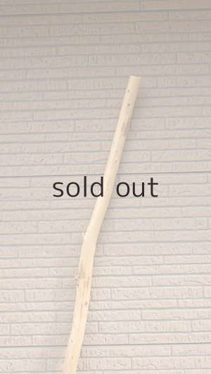 画像5: 棒流木・長尺